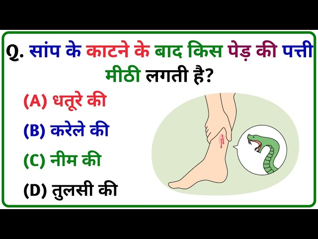 GK Quiz in Hindi | GK Questions and Answers | General Knowledge Quiz | Trisha GK