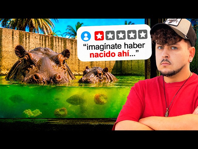 The Most CONTROVERSIAL Zoo in Morocco