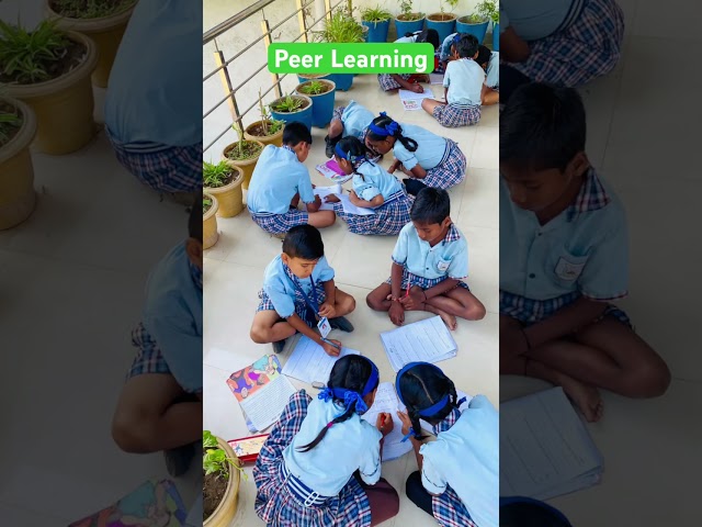 Peer Learning | Primary School | Beyond the Basic | Samgra Shikshaa | Primary Education | #primary