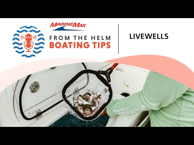 All About Livewells | Boating Tips