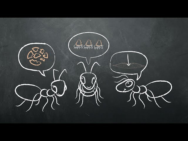 சிக்கலுக்குத் தீர்வு காணுதல் - Problem Solving (Tamil)