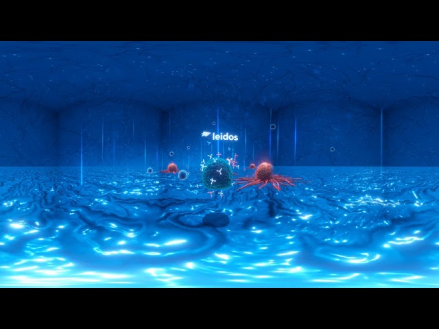 Leidos Microtide Application 360 Video File