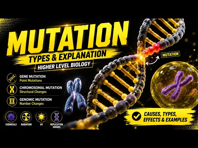 Mutation & Its Types | Complete Concept for GSET & CSIR-NET Life Sciences