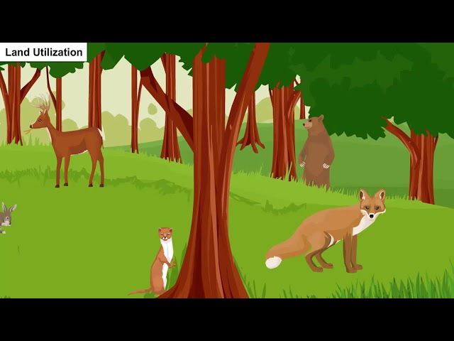 Resources and Development - Social Science - English - Geography - Class 10 - Cbse & Ncert