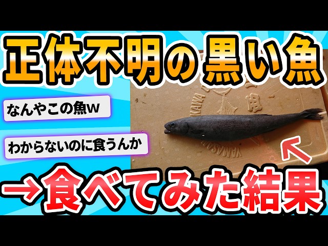 [2ch Funny Threads] Any fish experts here who know what this is?