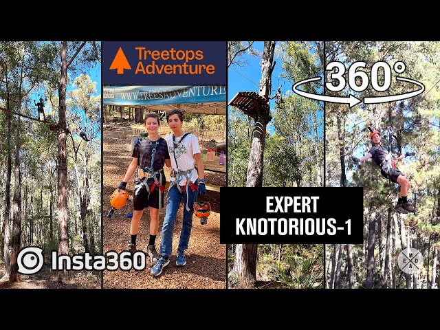 360° of Best Tree Ropes & Ziplining @ Treetops Adventure Dwellingup | Black Expert KNOTORIOUS Part 1