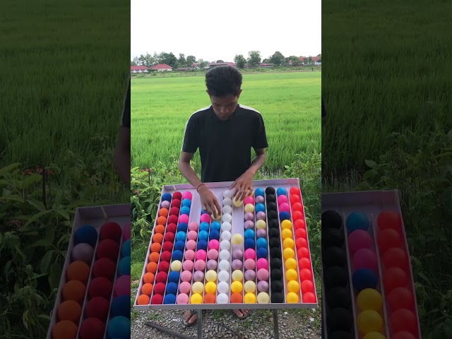 Brain Sorting Color BallPuzzle#ballcolors#puzzle ...more