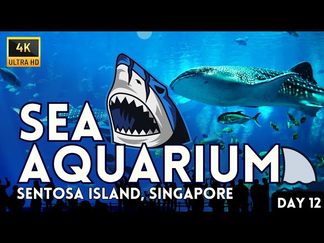 SEA Aquarium Singapore - Complete Guide | Sentosa Singapore