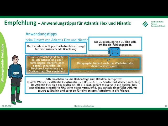 Ackerfuchsschwanz im Wintergetreide, Frühjahr 2021, LKSH