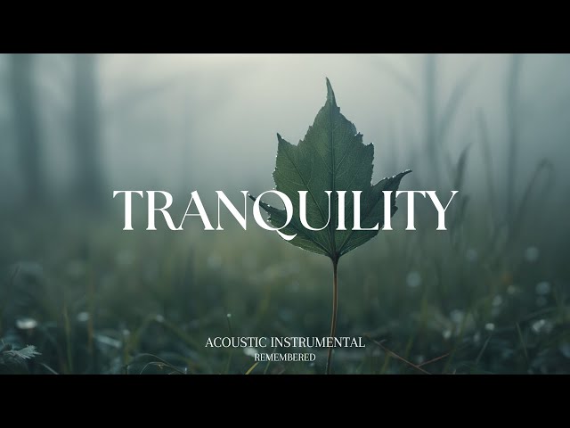 TRANQUILITY  - Relaxing Guitar for Stress Relief, work and study | REMEMBERED