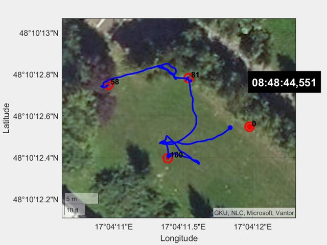 Swarm algorithm test - test 1, visualization