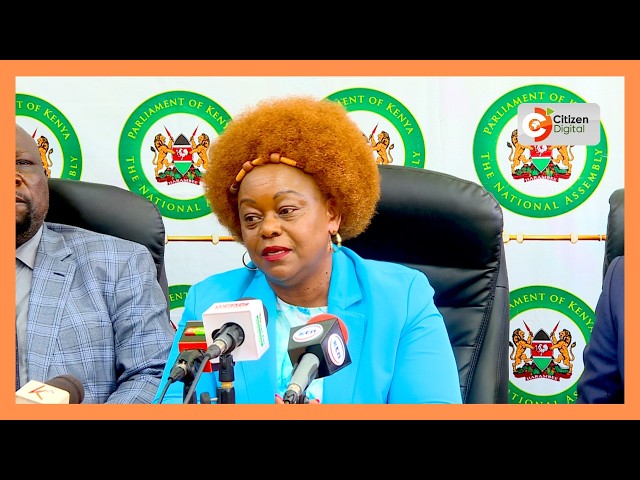 “It suggests we want favourable treatment,” A section of ODM MPs oppose party’s zoning plan with UDA