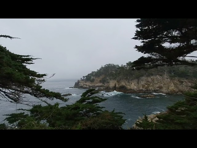 Point Lobos State Natural Reserve - Cypress Cove VR180