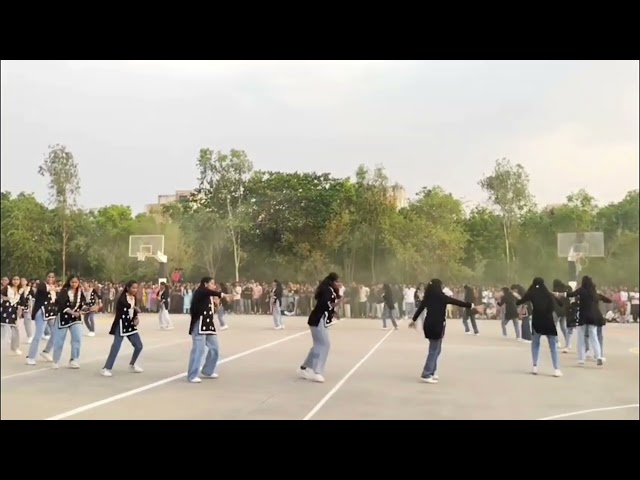 Flash mob | Rgukt basar | smaran 2k25 #iiitbasar #chemical