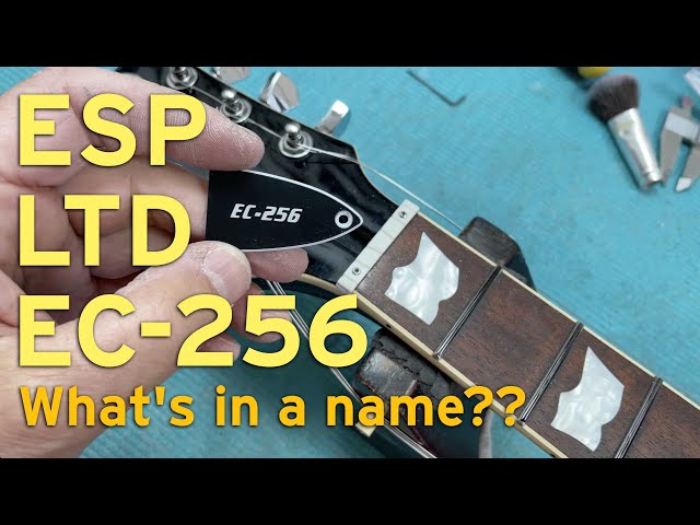 ESP LTD EC 256 set up