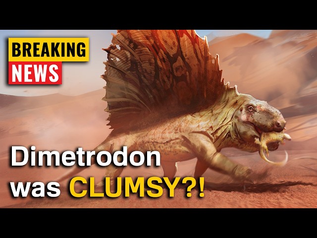 Scientists Just Found a Self-Inflicted Skull Injury in Dimetrodon