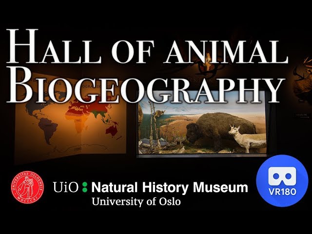 VR180 - Virtual Tour - Hall of animal biogeography - Museum of natural history