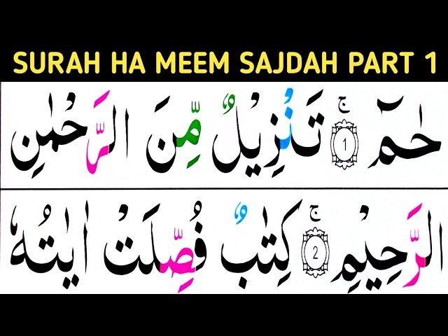 Surah Ha mim sajdah  Part 1 / verses 01-08/ Surah fussilat / learn Quran easily at home