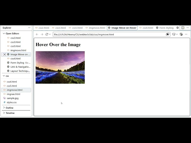 CSS Image Hover Effect Tutorial | Move an Image with Transform & Transition
