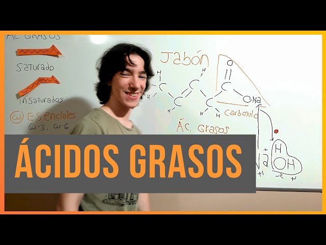 Ácidos Grasos