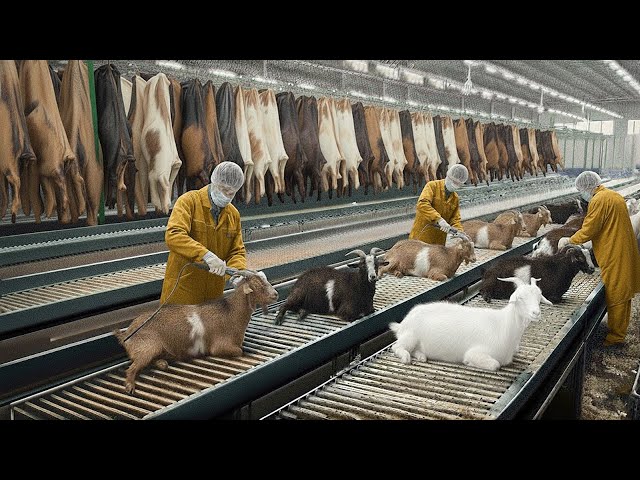 FULL PROCESS | Inside the Goat Leather Factory -  From the Goat Hide to Luxury Jacket