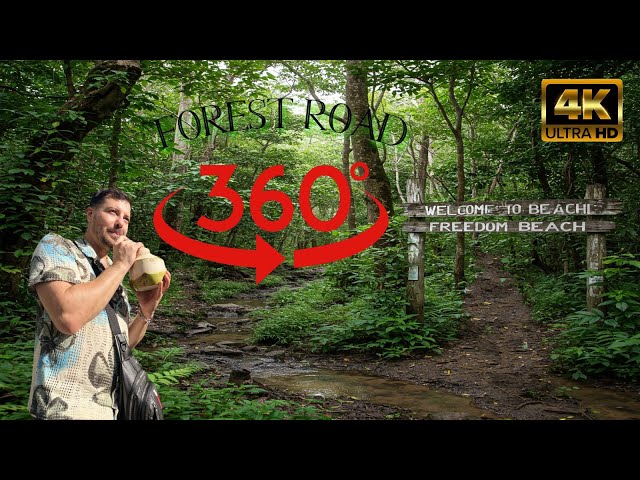 360° VR - THE DIFFICULT FOREST ROAD TO FREEDOM BEACH ( THAİLAND ) - 4K