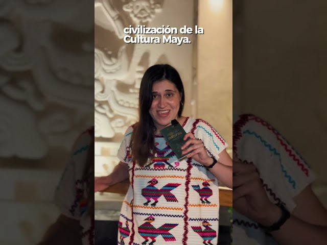 ✈️🚅 We’ve Arrived in Palenque! 🌿| Southeast Travelogue
