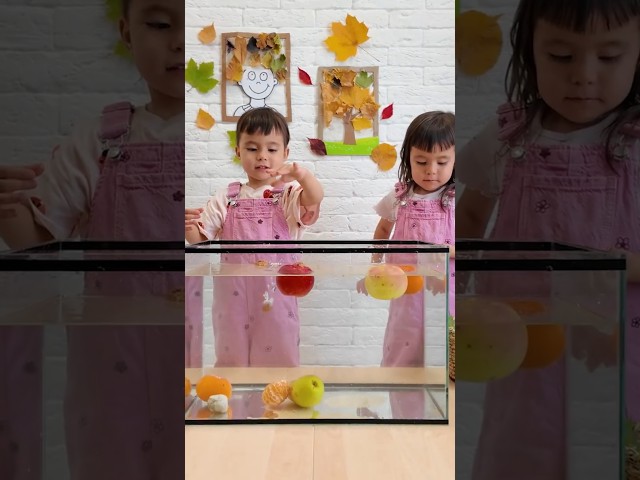 Kids Do SINK or FLOAT? Fall Edition with Pumpkins, Pinecones & More! 🍂