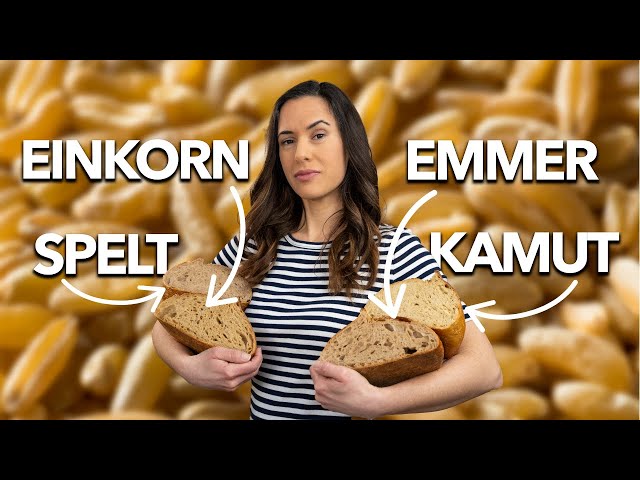 Battle of the Ancient Grains: Spelt vs Einkorn vs Emmer vs Kamut wheat