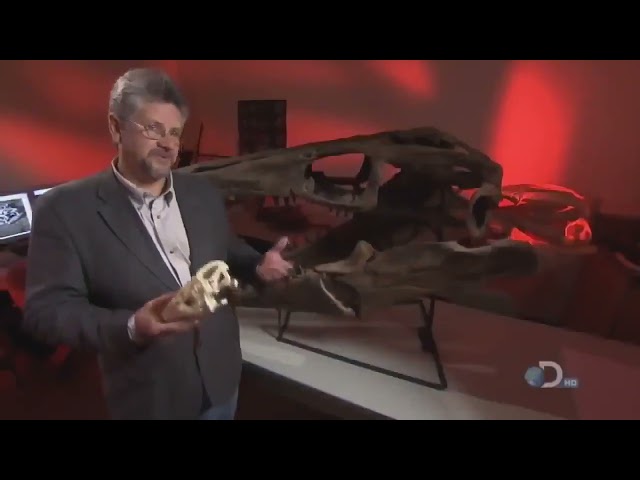 National geographic   T Rex   New Documentary HD 2022