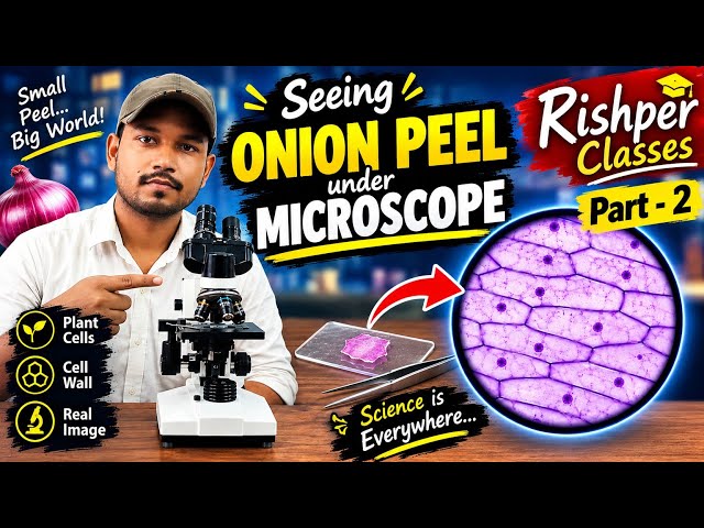 Part-2. Compound microscope/seeing Onion peel under microscope #biology #keshavsir #rishperclasses .