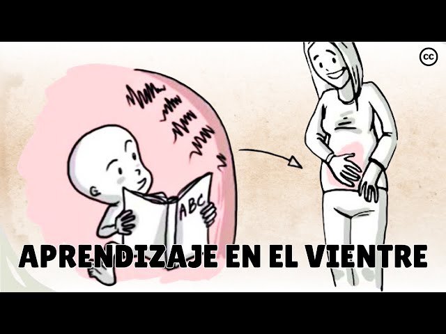 Prenatal Development: What Babies Learn Inside the Womb
