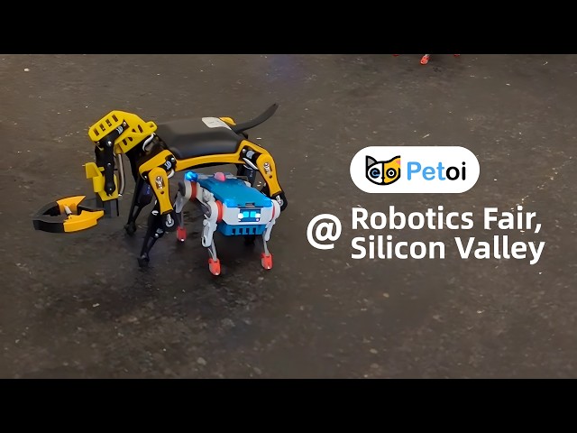 Quaddle's First Field Test — Robot Dog Learning from Kids | Robotics Fair Recap