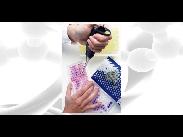 01-Explore PilotScript