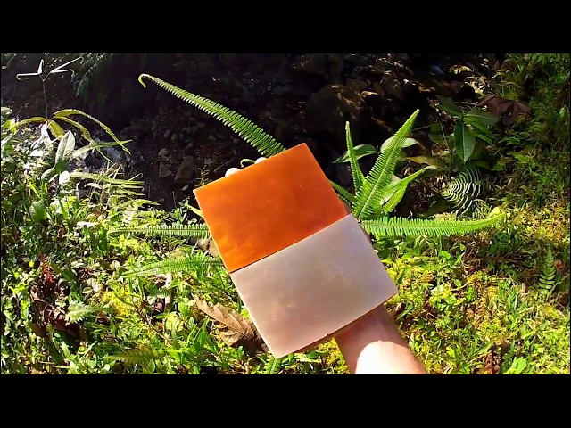 Human Resonance: Phonon Transfer Alchemy