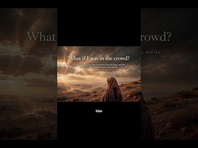 What If I Was in the Crowd?