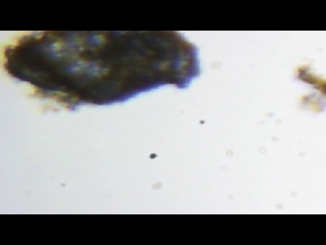 360 microscope