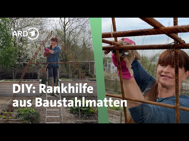 DIY trellis – vegetable tunnel | Querbeet