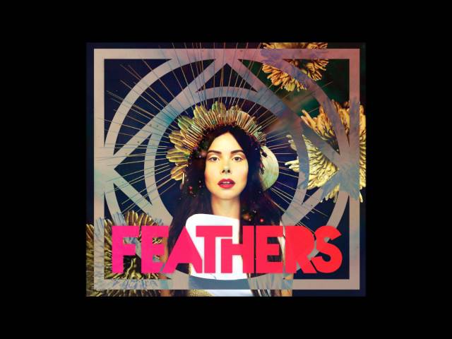 Feathers Dark Matter