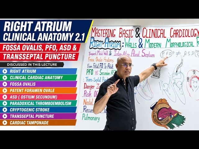 Right Atrium Clinical Anatomy | Fossa Ovalis, PFO, ASD & Transseptal Puncture | Cardiology Series