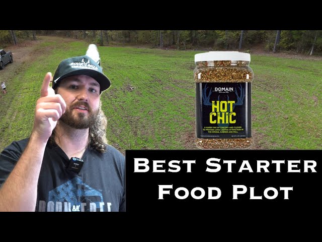 BEST STARTER FOOD PLOT: Domain Hot Chic and Green Machine | Mississippi Deer Hunting