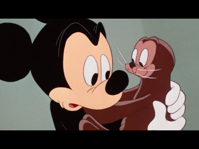 Mickey and the Seal | A Classic Mickey Short | Have A Laugh | @disneykids
