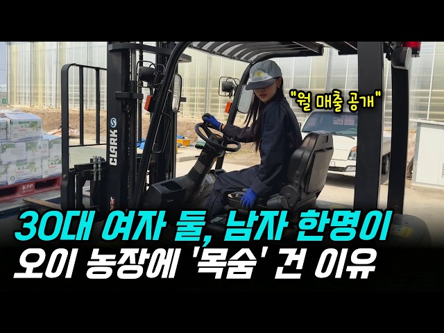 A 1,200-pyeong cucumber farm run by three young men in their 30s: Everything from daily routines ...