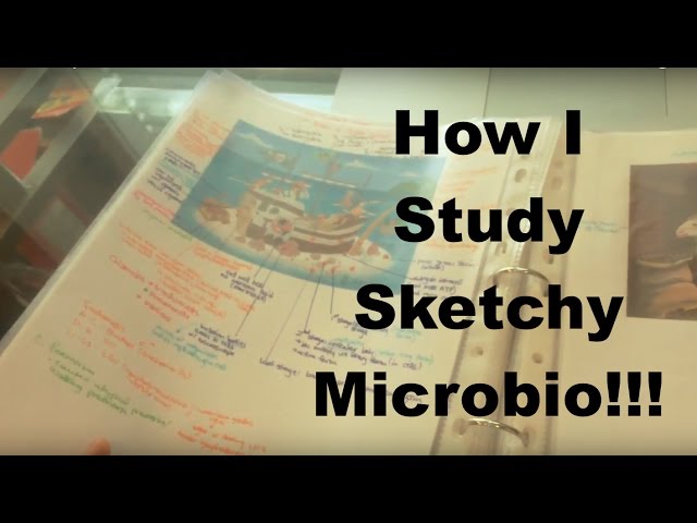 How to study SKETCHY