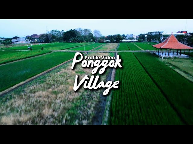 "Ponggok Village" Profile Video || PMM UMS 2025