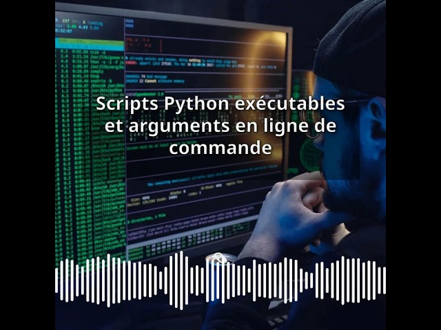 Scripts Python exécutables et arguments en ligne de commande | Expert CyberSecurité & DevSecOps...