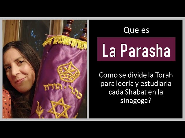 Que es la Parasha de la semana? Como se divide la Tora para leerla y estudiarla en la sinagoga?