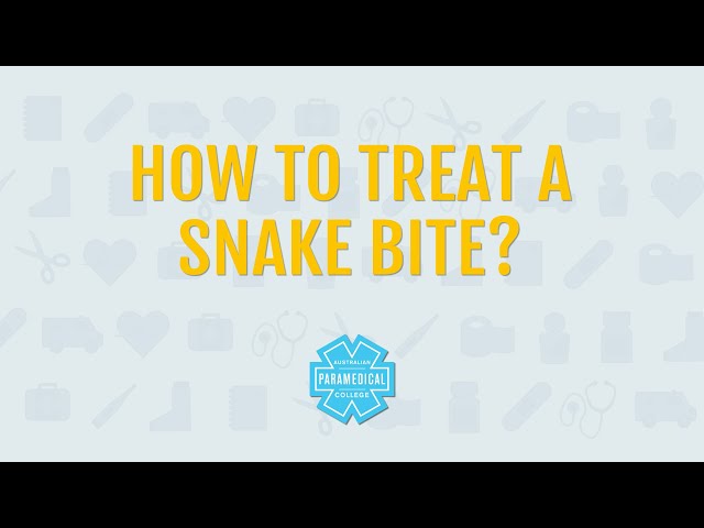 Snake Bite First Aid | Quick Tips | Pressure Immobilisation Technique