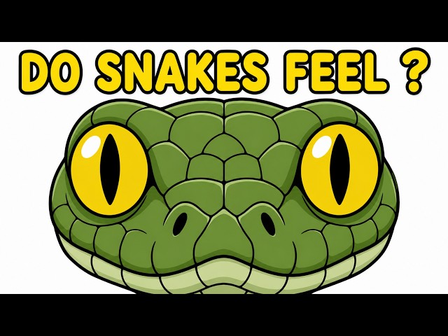 Can A Snake Recognize Its Owner?
