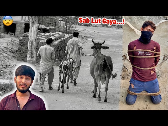 Hamari Cow🐄 Aur Cow Baby Chor Le Gaye😨Commando Ko Rasson Se Bandh Diya🥺